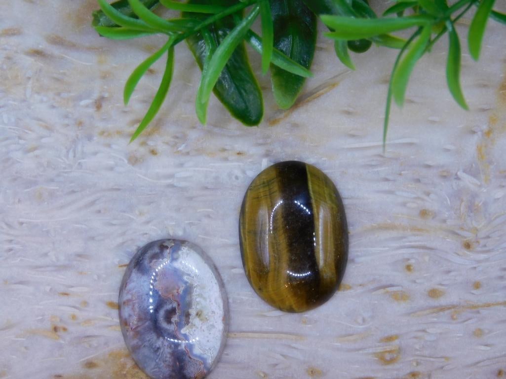 CABOCHONS ROCK STONE LAPIDARY SPECIMEN: CABOCHONS ROCK STONE LAPIDARY SPECIMEN