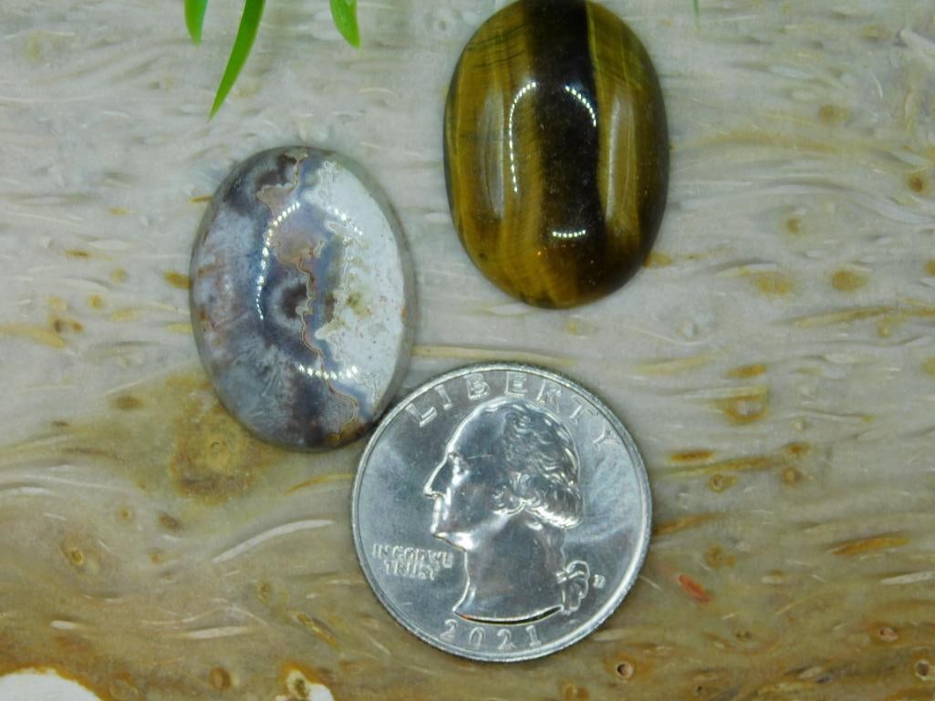 CABOCHONS ROCK STONE LAPIDARY SPECIMEN - 4