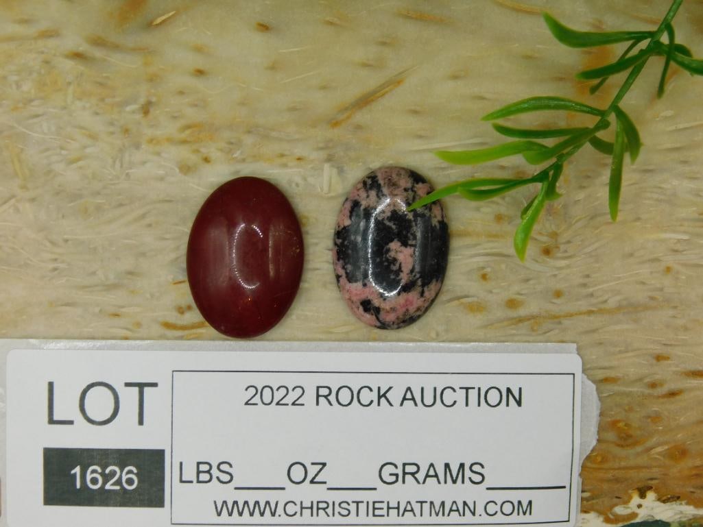 CABOCHONS ROCK STONE LAPIDARY SPECIMEN - 4
