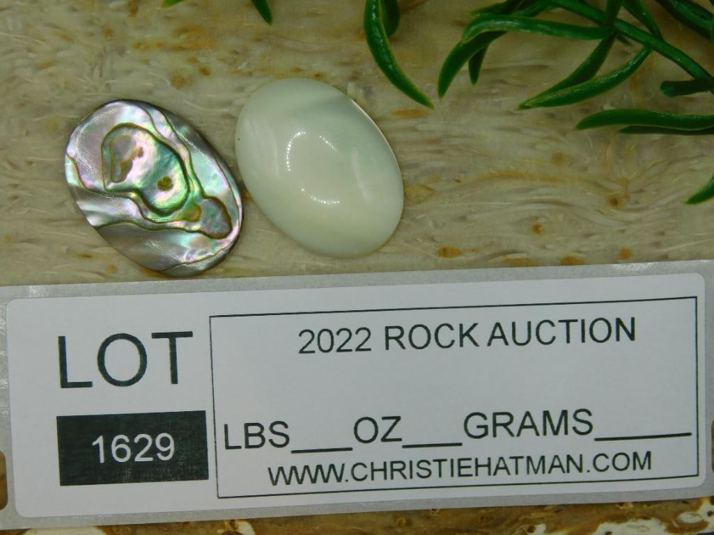 CABOCHONS ROCK STONE LAPIDARY SPECIMEN - 3