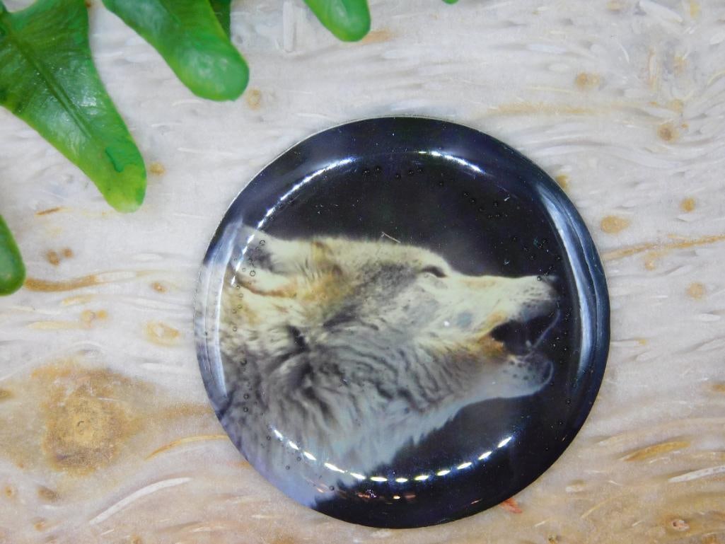 WOLF CABOCHON ROCK STONE LAPIDARY SPECIMEN - 2