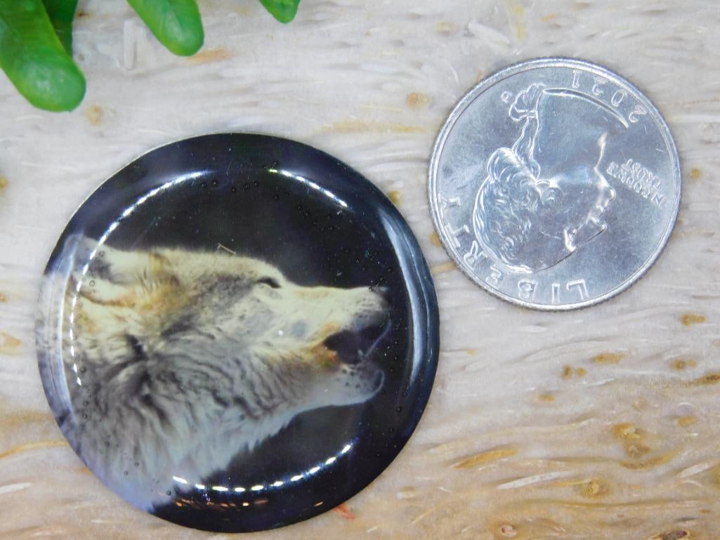 WOLF CABOCHON ROCK STONE LAPIDARY SPECIMEN - 3