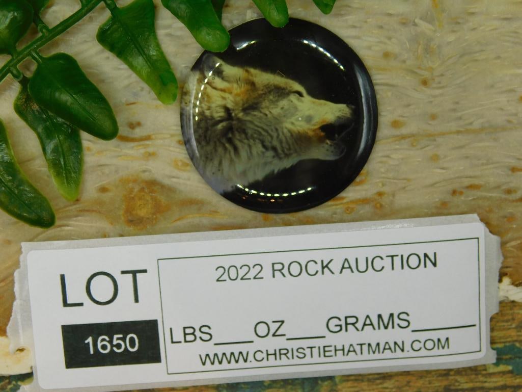 WOLF CABOCHON ROCK STONE LAPIDARY SPECIMEN - 4