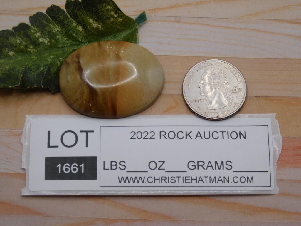 JASPER CABOCHON ROCK STONE LAPIDARY SPECIMEN - 2