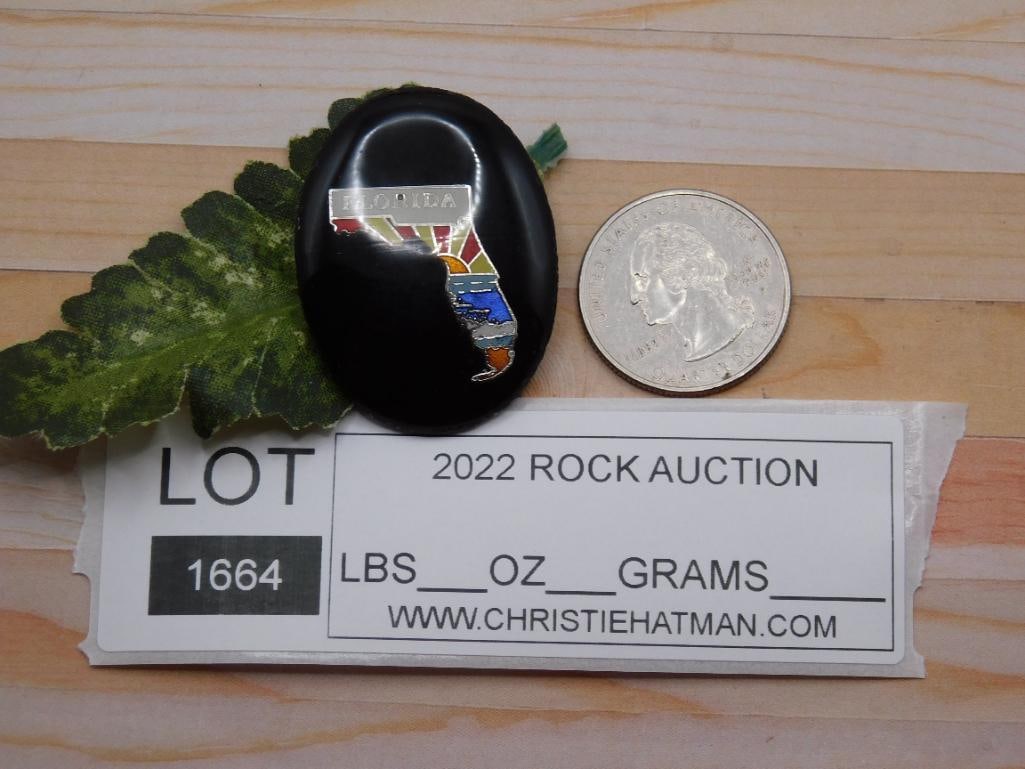 FLORIDA CABOCHON ROCK STONE LAPIDARY SPECIMEN - 2