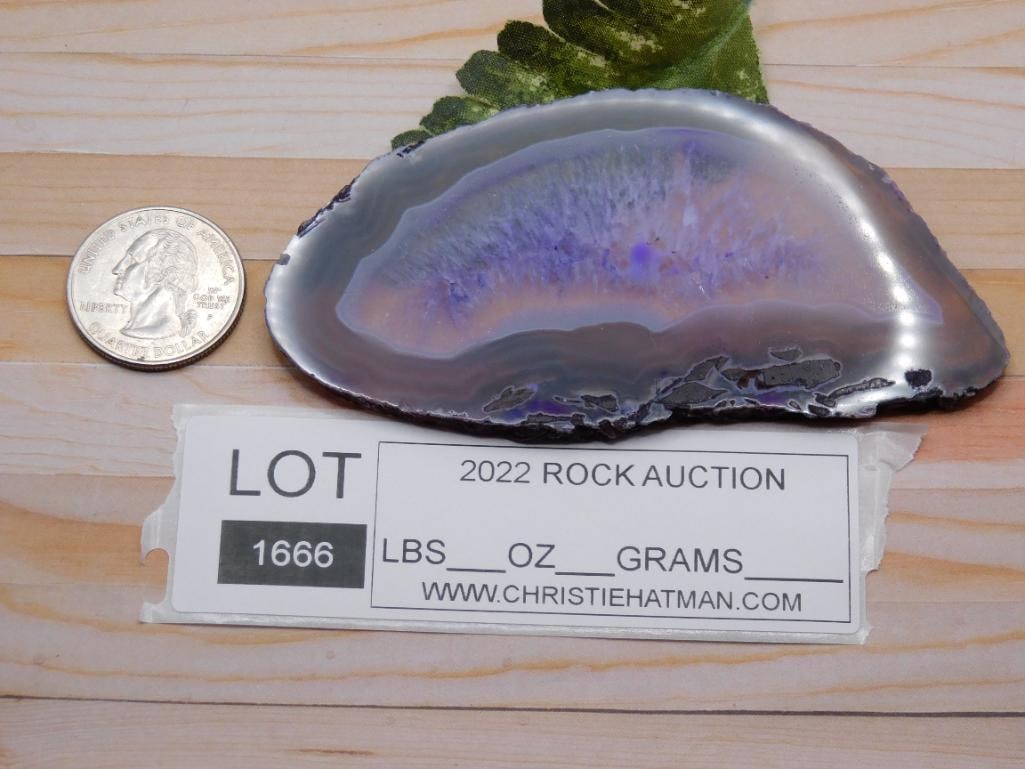 AGATE SLICE ROCK STONE LAPIDARY SPECIMEN - 2