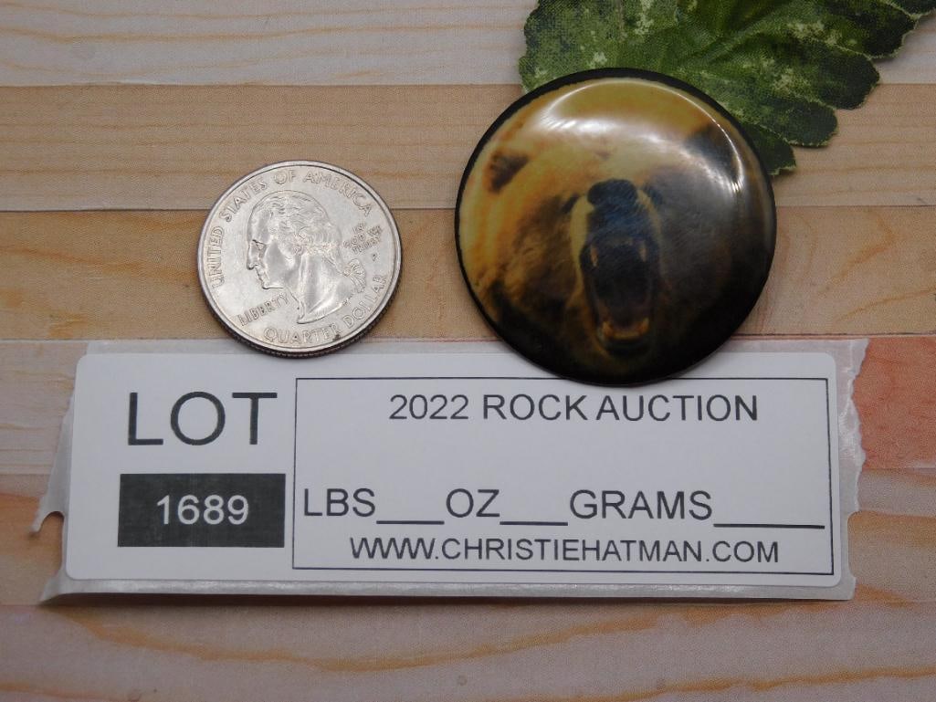 BEAR CABOCHON ROCK STONE LAPIDARY SPECIMEN - 2