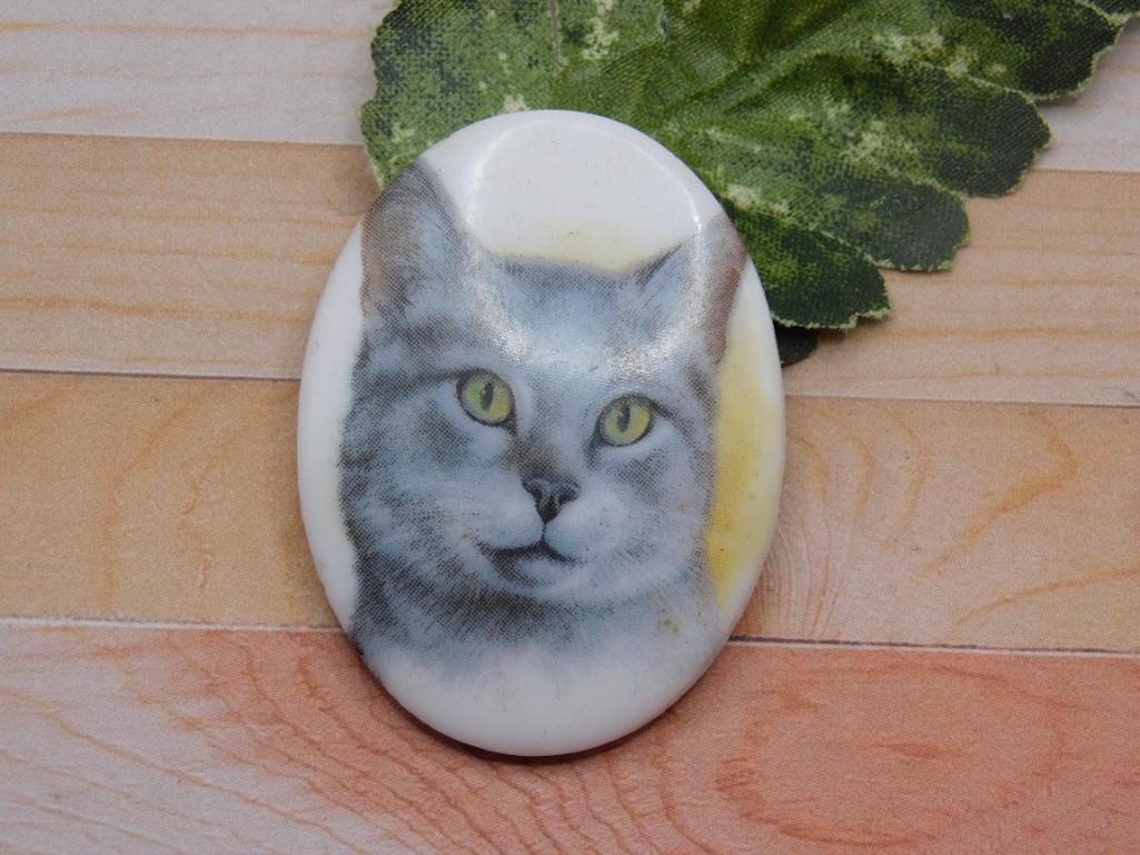 CAT CABOCHON ROCK STONE LAPIDARY SPECIMEN: CAT CABOCHON ROCK STONE LAPIDARY SPECIMEN