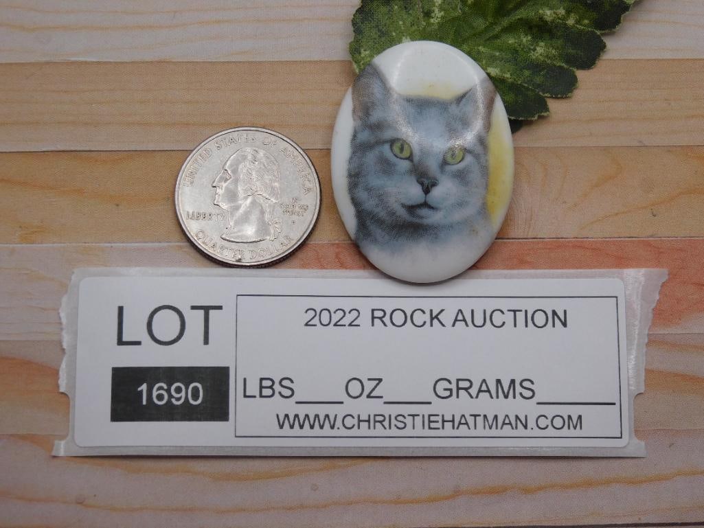 CAT CABOCHON ROCK STONE LAPIDARY SPECIMEN - 2