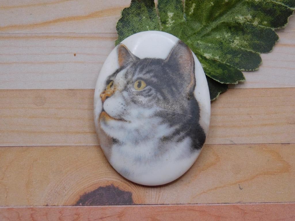 CAT CABOCHON ROCK STONE LAPIDARY SPECIMEN: CAT CABOCHON ROCK STONE LAPIDARY SPECIMEN