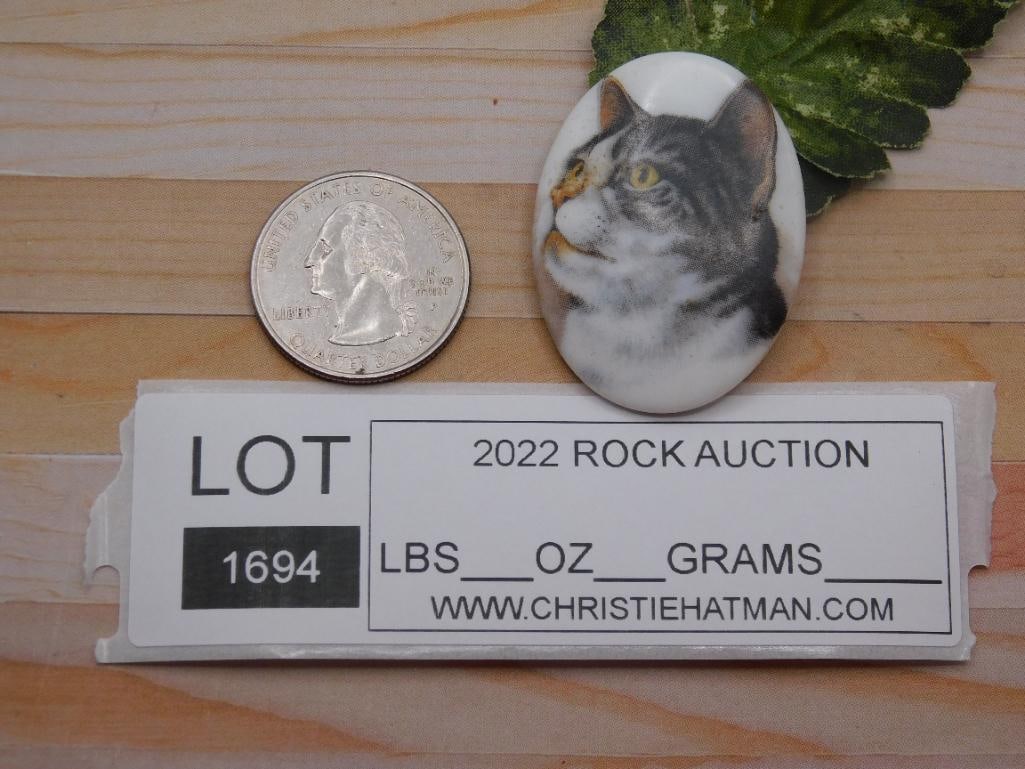CAT CABOCHON ROCK STONE LAPIDARY SPECIMEN - 2