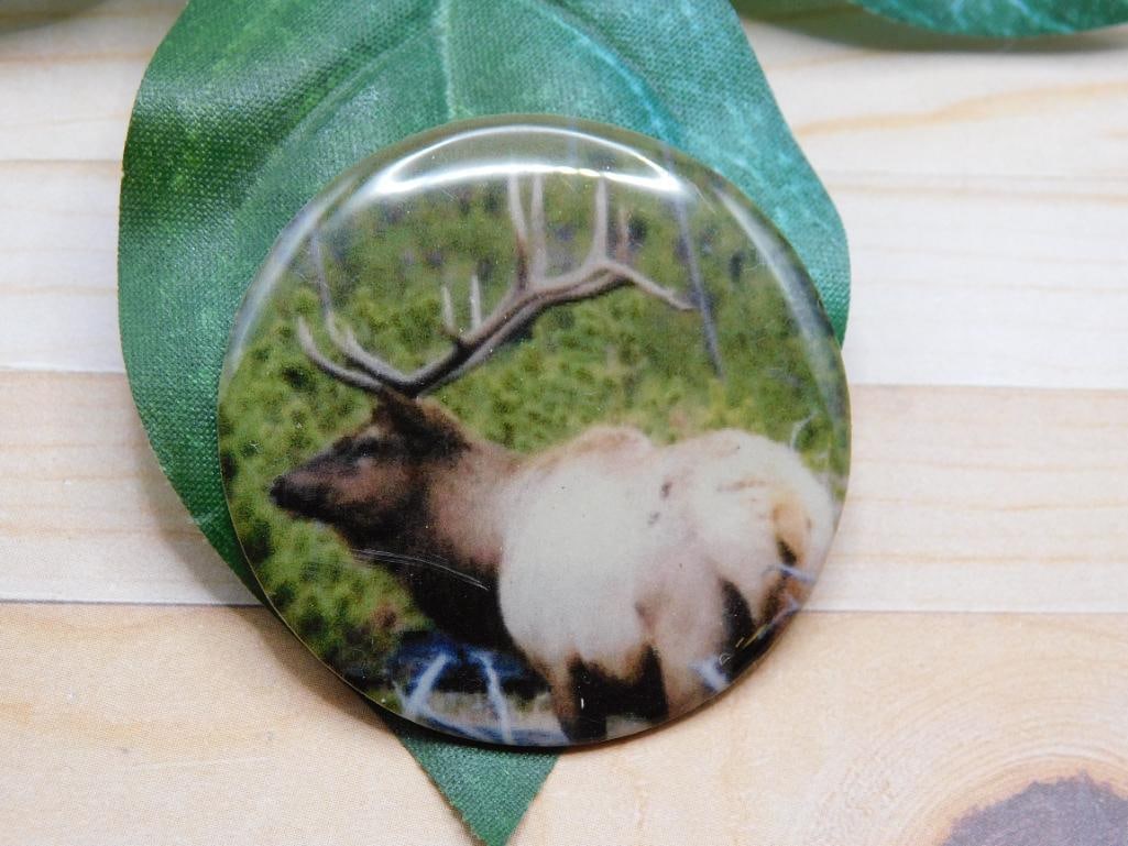 ELK CABOCHON ROCK STONE LAPIDARY SPECIMEN: ELK CABOCHON ROCK STONE LAPIDARY SPECIMEN