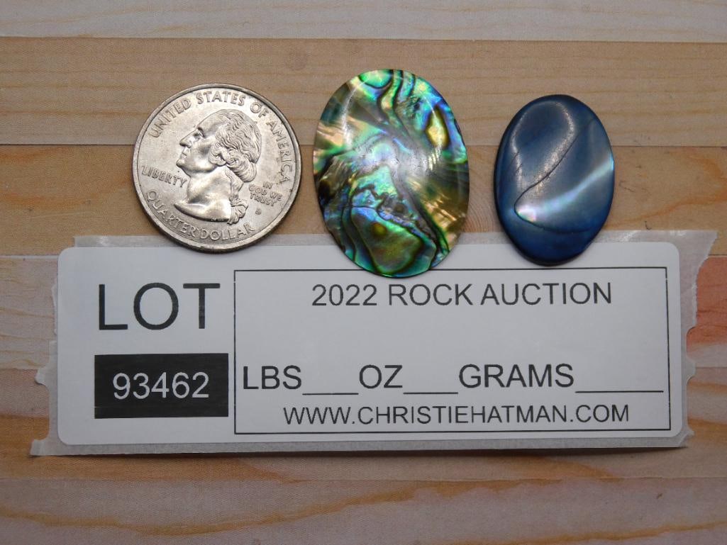 ABALONE CABOCHONS ROCK STONE LAPIDARY SPECIMEN - 2