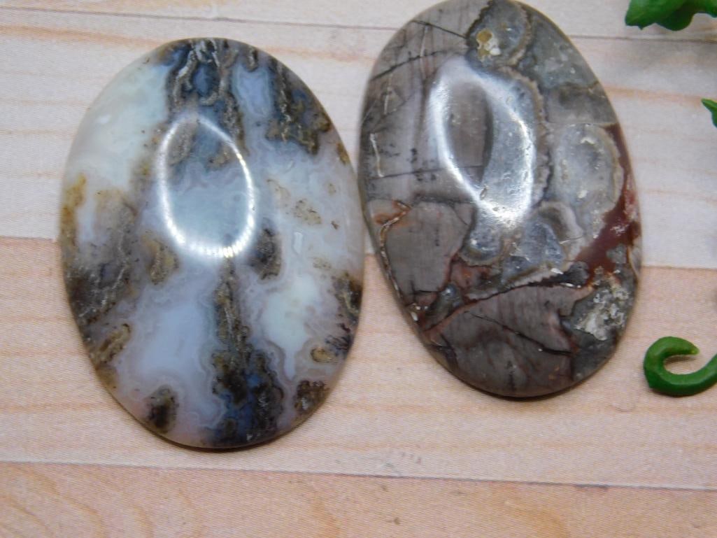CABOCHONS ROCK STONE LAPIDARY SPECIMEN: CABOCHONS ROCK STONE LAPIDARY SPECIMEN