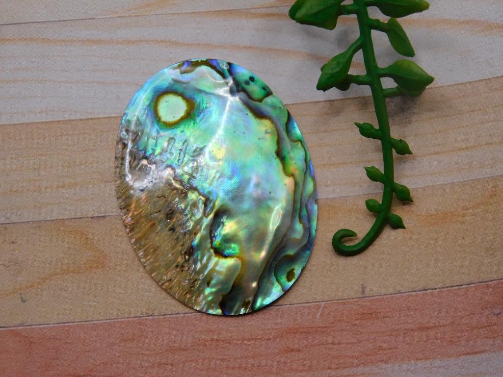 ABALONE CABOCHON ROCK STONE LAPIDARY SPECIMEN: ABALONE CABOCHON ROCK STONE LAPIDARY SPECIMEN