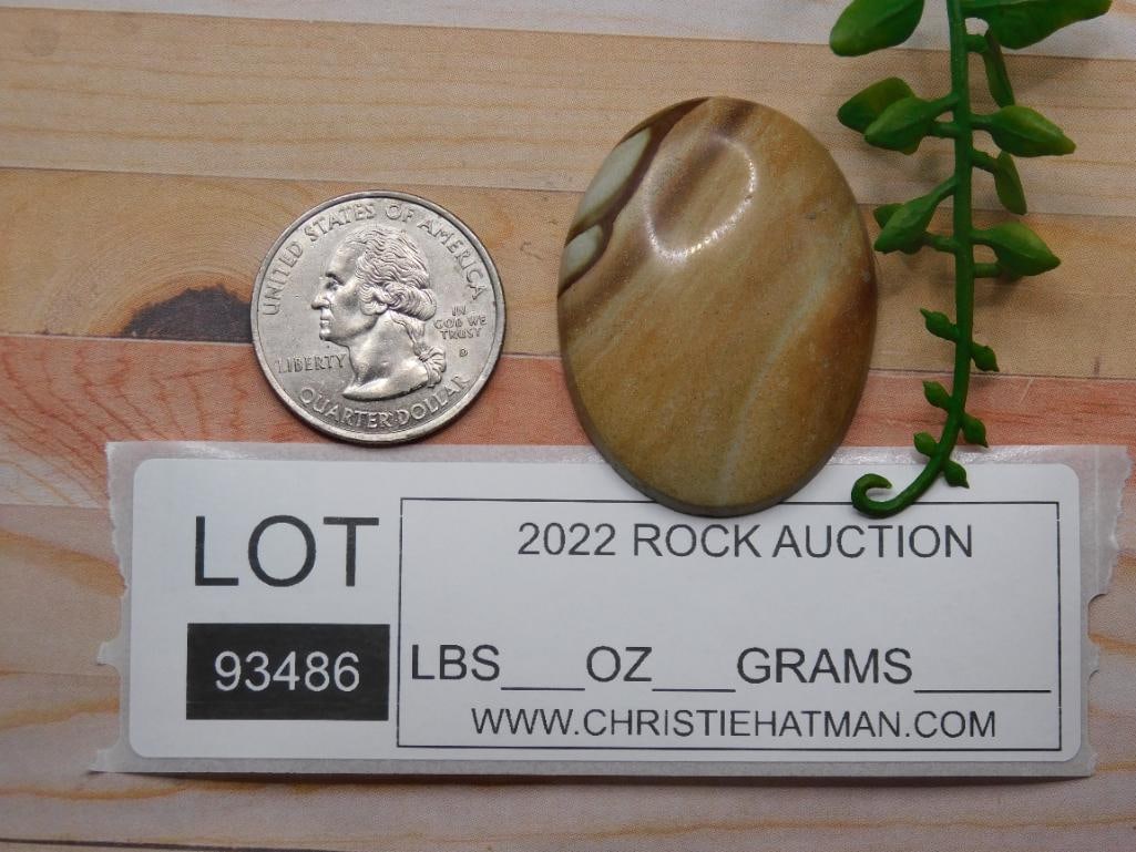 JASPER CABOCHON ROCK STONE LAPIDARY SPECIMEN - 2