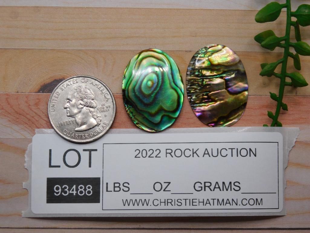 ABALONE CABOCHONS ROCK STONE LAPIDARY SPECIMEN - 2