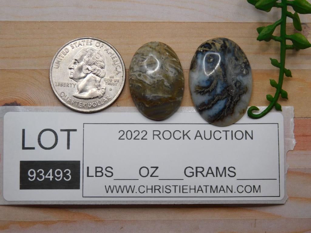 CABOCHONS ROCK STONE LAPIDARY SPECIMEN - 2