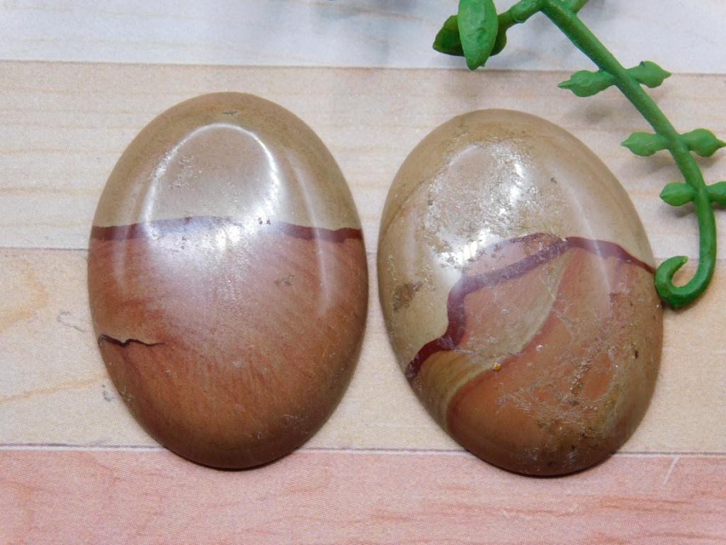 JASPER CABOCHONS ROCK STONE LAPIDARY SPECIMEN: JASPER CABOCHONS ROCK STONE LAPIDARY SPECIMEN