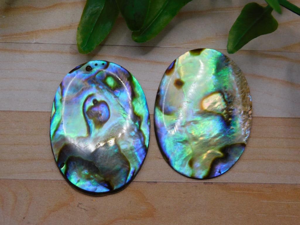 ABALONE CABOCHONS ROCK STONE LAPIDARY SPECIMEN: ABALONE CABOCHONS ROCK STONE LAPIDARY SPECIMEN