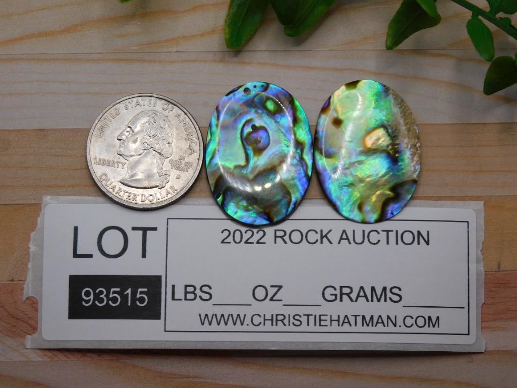 ABALONE CABOCHONS ROCK STONE LAPIDARY SPECIMEN - 2