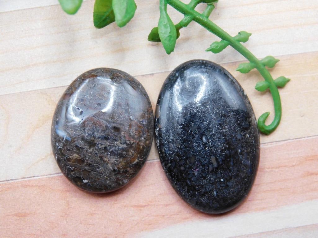 DINOSAUR BONE CABOCHONS ROCK STONE LAPIDARY SPECIMEN (1 of 2)