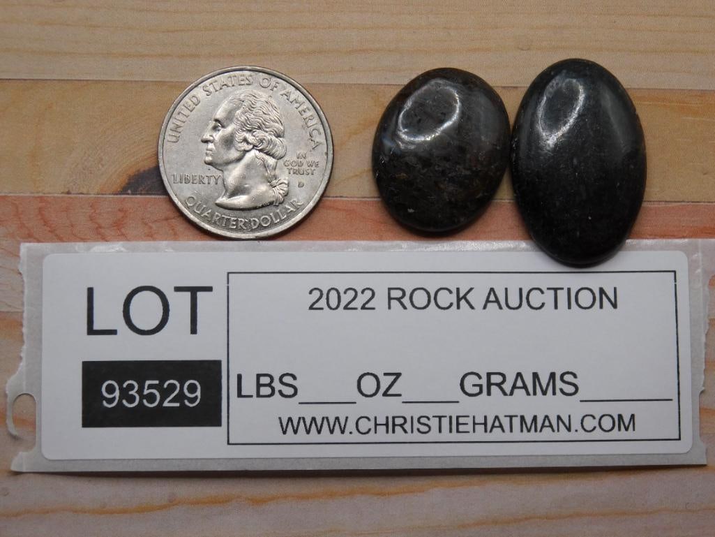 DINOSAUR BONE CABOCHONS ROCK STONE LAPIDARY SPECIMEN - 2