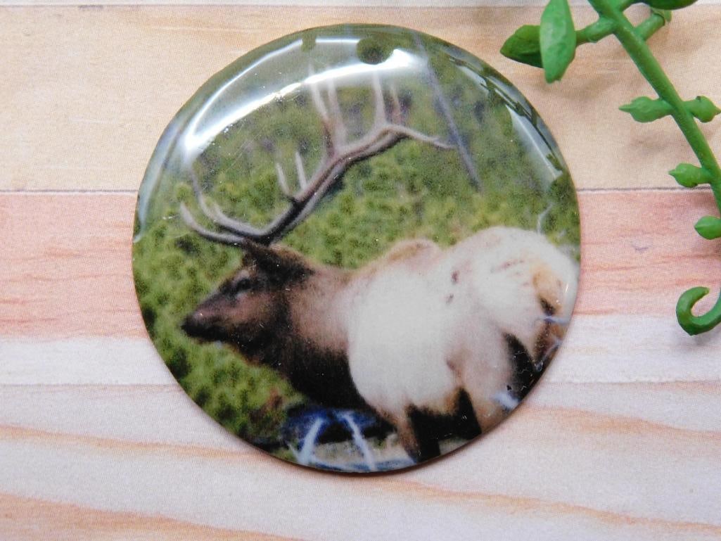 ELK CABOCHON ROCK STONE LAPIDARY SPECIMEN: ELK CABOCHON ROCK STONE LAPIDARY SPECIMEN