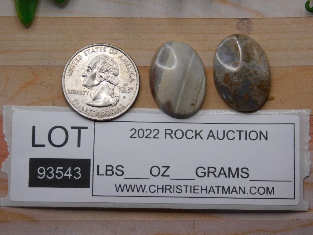 CABOCHONS ROCK STONE LAPIDARY SPECIMEN - 2