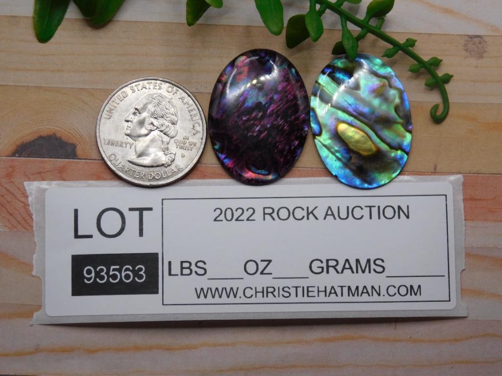ABALONE CABOCHONS ROCK STONE LAPIDARY SPECIMEN - 2