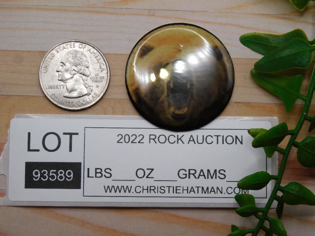 BEAR CABOCHON ROCK STONE LAPIDARY SPECIMEN - 2