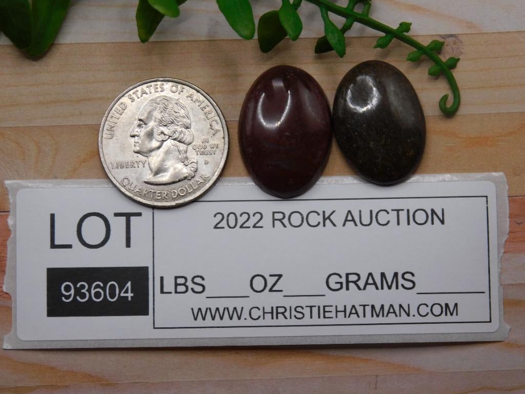 DINOSAUR BONE CABOCHONS ROCK STONE LAPIDARY SPECIMEN - 2