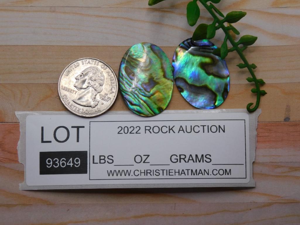 ABALONE CABOCHONS ROCK STONE LAPIDARY SPECIMEN - 2