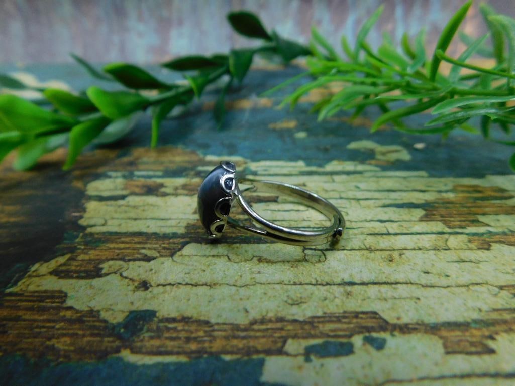 CATS EYE RING ROCK STONE LAPIDARY SPECIMEN - 2