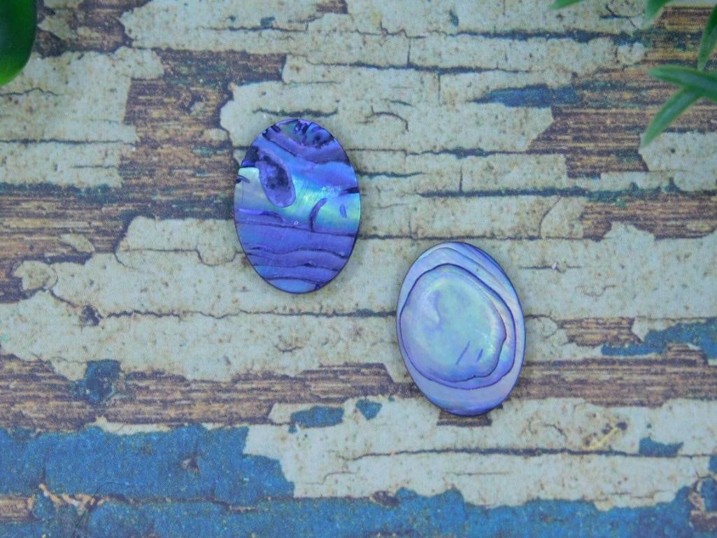 ABALONE CABOCHONS ROCK STONE LAPIDARY SPECIMEN - 2