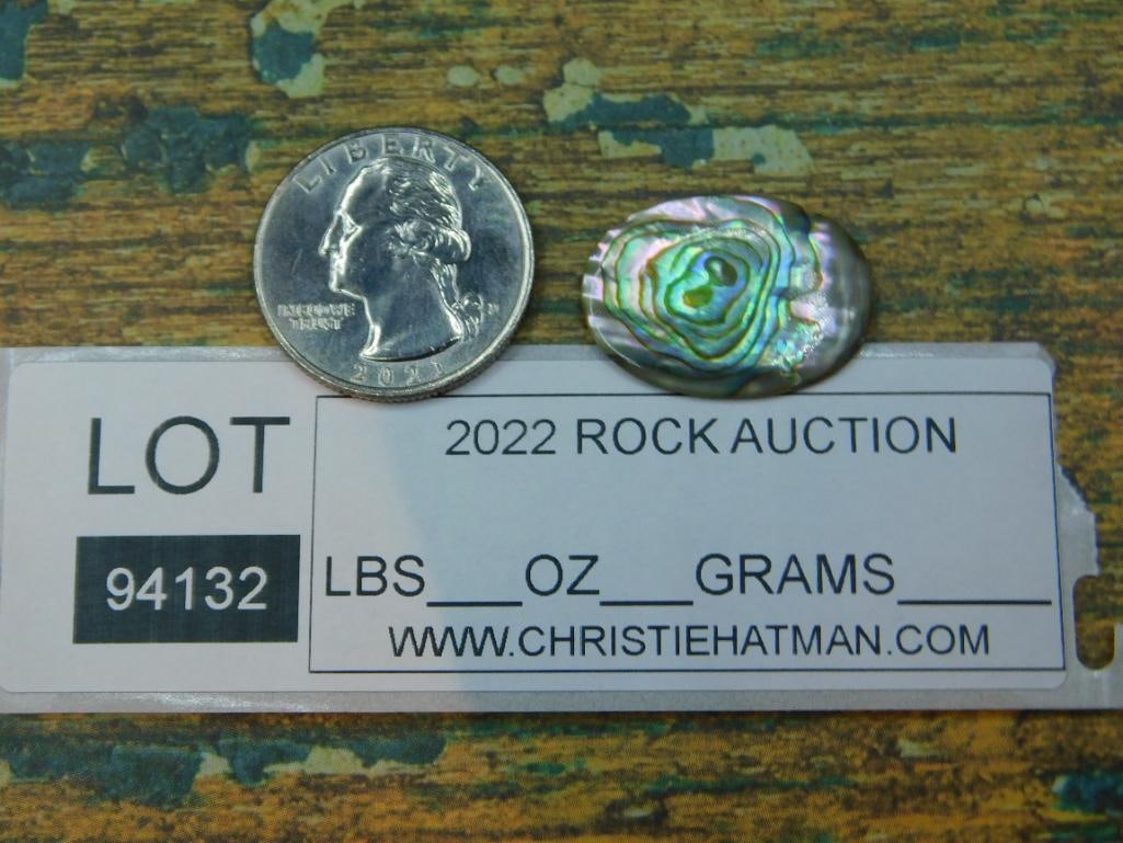 ABALONE CABOCHON ROCK STONE LAPIDARY SPECIMEN - 3