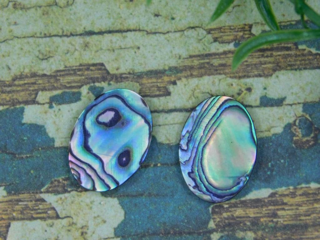 ABALONE CABOCHONS ROCK STONE LAPIDARY SPECIMEN - 2