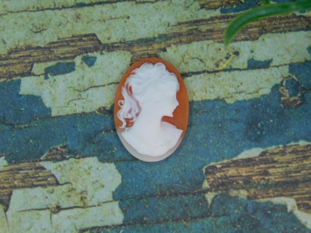 CAMEO CABOCHON ROCK STONE LAPIDARY SPECIMEN: CAMEO CABOCHON ROCK STONE LAPIDARY SPECIMEN