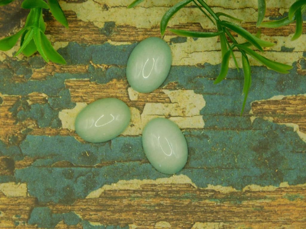 AVENTURINE CABOCHONS ROCK STONE LAPIDARY SPECIMEN: AVENTURINE CABOCHONS ROCK STONE LAPIDARY SPECIMEN