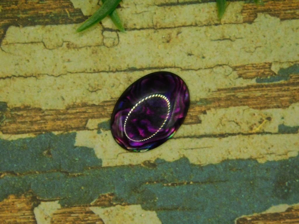 ABALONE CABOCHONS ROCK STONE LAPIDARY SPECIMEN: ABALONE CABOCHONS ROCK STONE LAPIDARY SPECIMEN