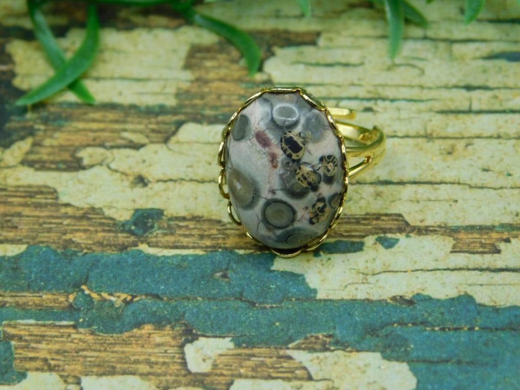 LEOPARD SKIN JASPER RING ROCK STONE LAPIDARY SPECIMEN: LEOPARD SKIN JASPER RING ROCK STONE LAPIDARY SPECIMEN