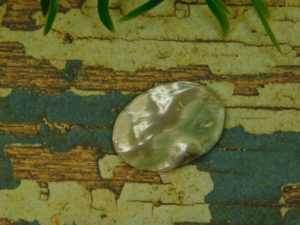 ABALONE CABOCHON ROCK STONE LAPIDARY SPECIMEN - 2