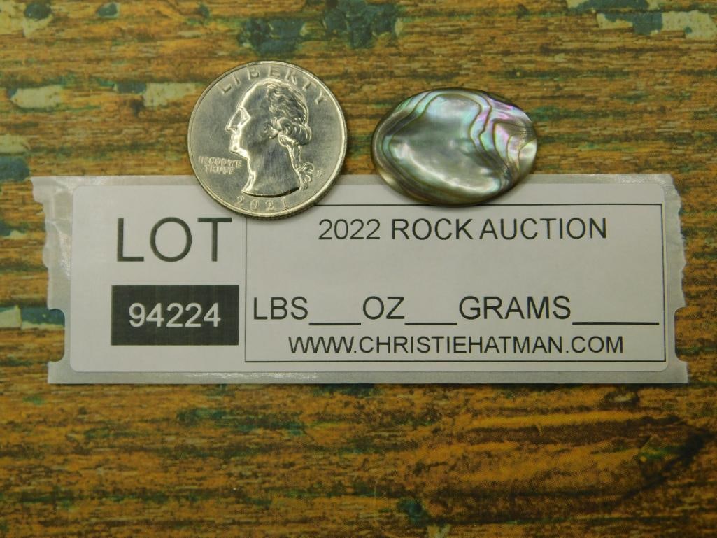 ABALONE CABOCHON ROCK STONE LAPIDARY SPECIMEN - 3