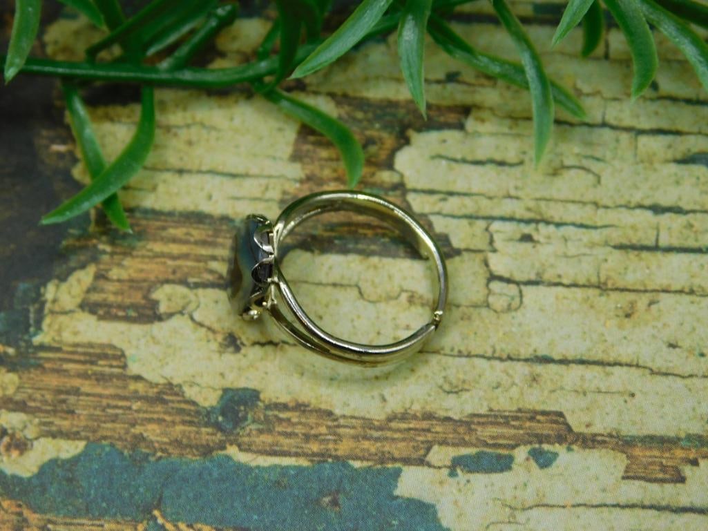 ABALONE RING ROCK STONE LAPIDARY SPECIMEN - 2