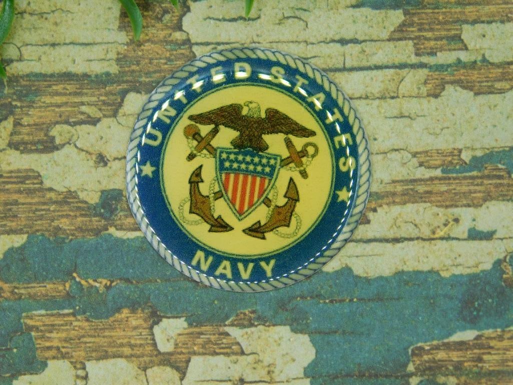 UNITED STATES NAVY CABOCHON ROCK STONE LAPIDARY SPECIMEN: UNITED STATES NAVY CABOCHON ROCK STONE LAPIDARY SPECIMEN