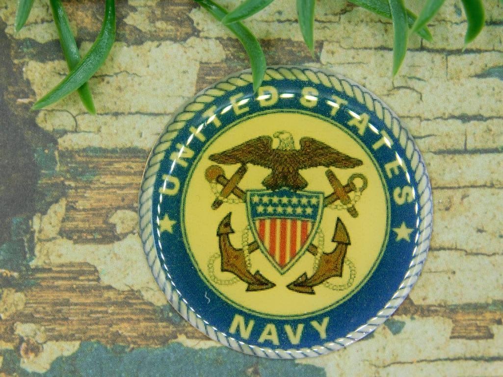 UNITED STATES NAVY CABOCHON ROCK STONE LAPIDARY SPECIMEN: UNITED STATES NAVY CABOCHON ROCK STONE LAPIDARY SPECIMEN