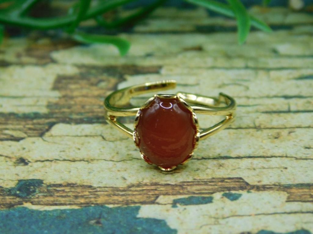 CARNELIAN RING ROCK STONE LAPIDARY SPECIMEN: CARNELIAN RING ROCK STONE LAPIDARY SPECIMEN