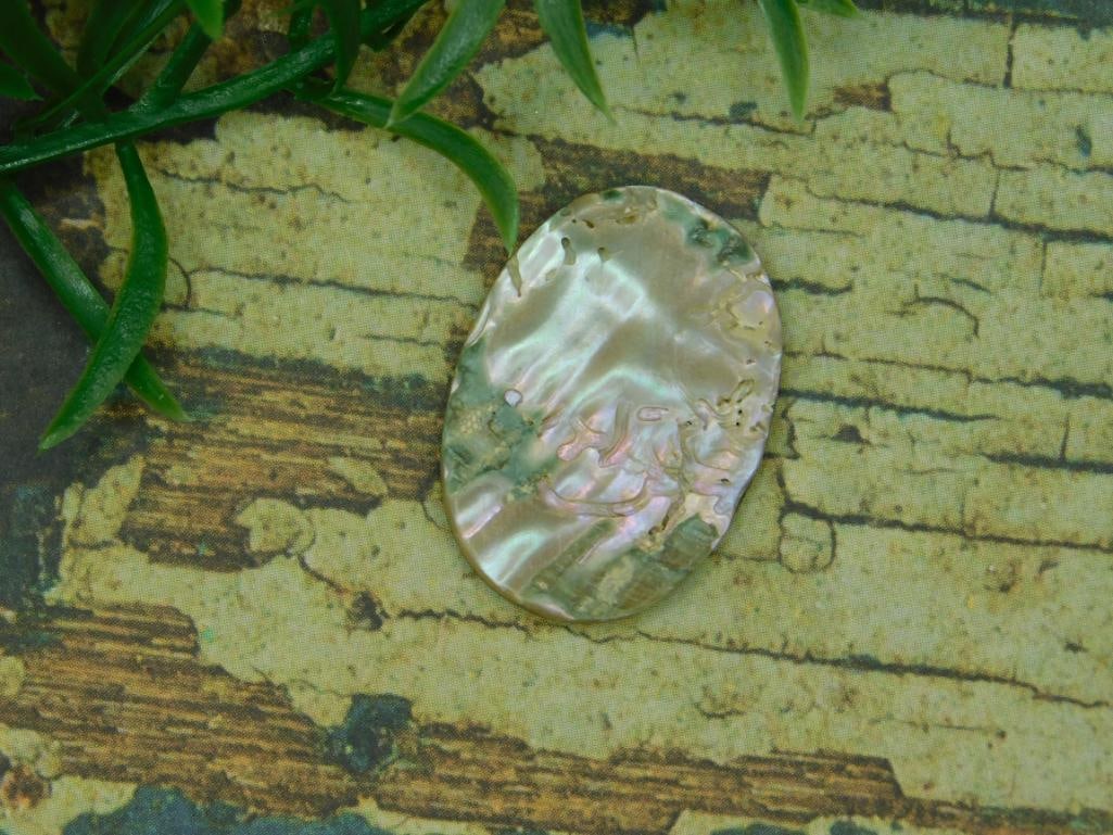 ABALONE CABOCHON ROCK STONE LAPIDARY SPECIMEN - 2