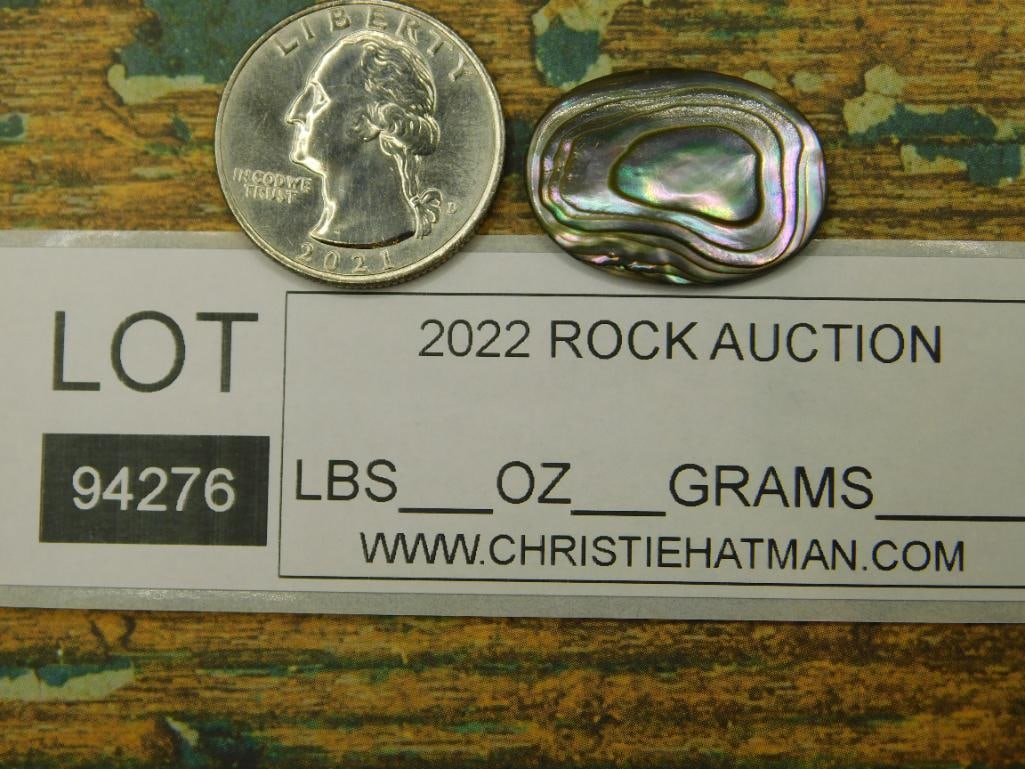 ABALONE CABOCHON ROCK STONE LAPIDARY SPECIMEN - 3