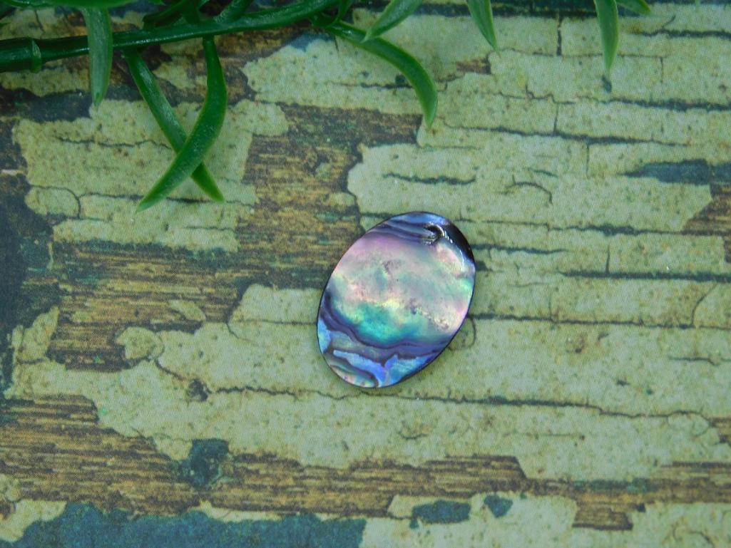 ABALONE CABOCHON ROCK STONE LAPIDARY SPECIMEN - 2